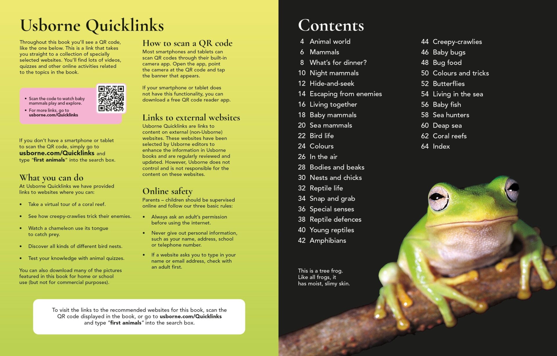 First Encyclopedia of Animals 2