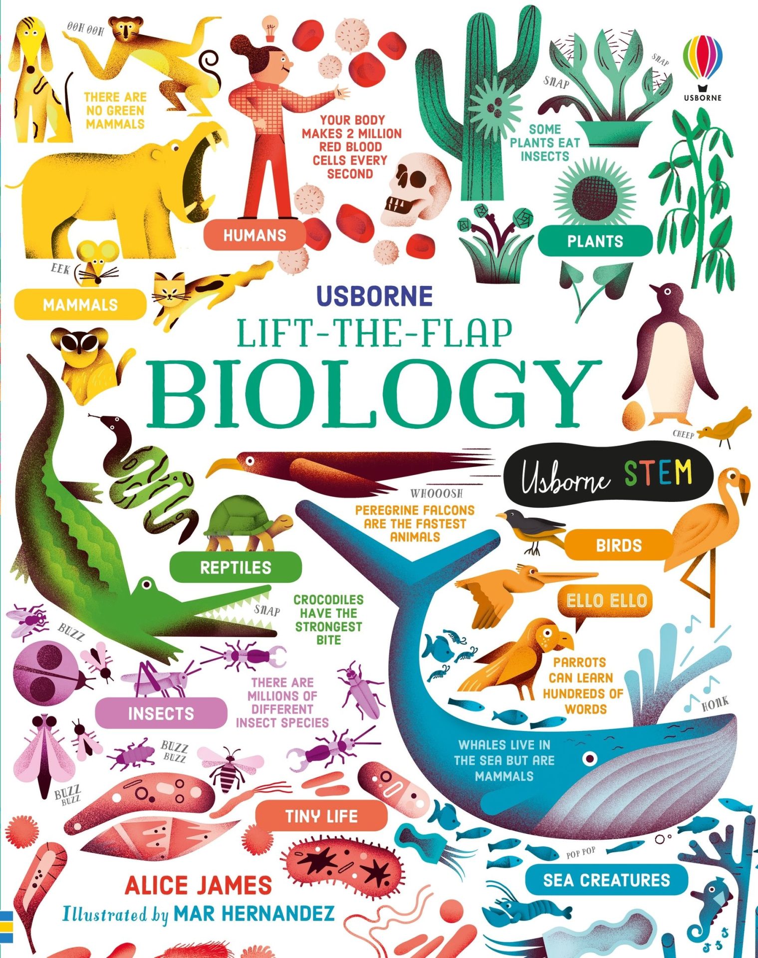 Lift-the-Flap Biology – Истражи ја биологијата, интерактивна книга со прозорчиња